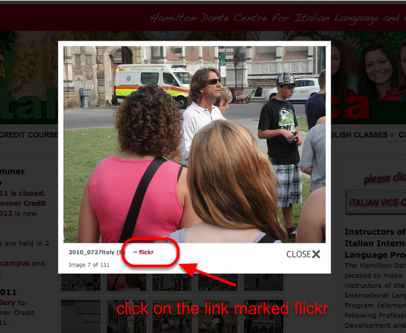 4. Locate the Link to the Flickr website